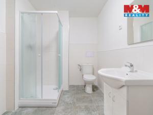 Pronájem bytu 1+1, Sokolov, Nádražní, 50 m2