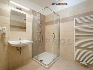 Prodej ubytování, Český Krumlov - Vnitřní Město, Široká, 400 m2