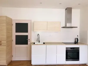 Pronájem bytu 2+kk, Praha - Žižkov, Viklefova, 46 m2