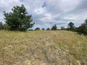 Prodej pozemku, Rapšach - Nová Ves u Klikova, 6986 m2