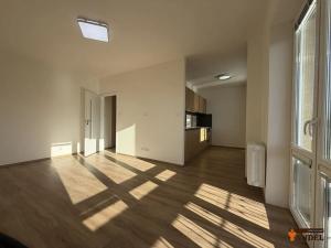 Pronájem bytu 2+1, Havířov, Dělnická, 48 m2