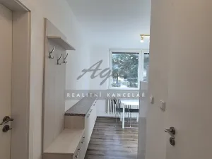 Pronájem bytu 1+1, Brno, 28 m2