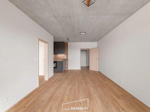 Pronájem bytu 1+kk, Plzeň, Kamenická, 55 m2