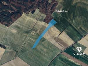 Prodej podílu pole, Sudovo Hlavno, 17496 m2