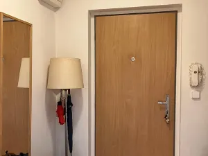 Prodej bytu 1+kk, Praha, Švehlova, 40 m2