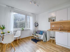 Pronájem bytu 1+1, Děčín - Děčín IX-Bynov, Gagarinova, 34 m2