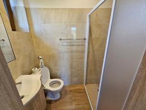 Pronájem rodinného domu, Havlíčkův Brod, Reynkova, 175 m2