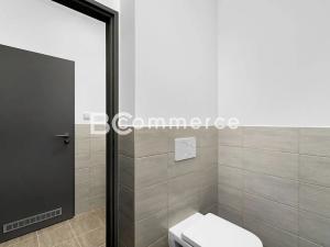 Pronájem výrobních prostor, Brno, Vinohradská, 446 m2