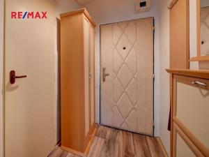 Pronájem bytu 1+kk, Kolín, Dělnická, 20 m2