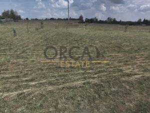 Prodej louky, Jetětice, 35942 m2