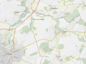 Dražba lesa, Olešná, 2554 m2