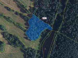 Dražba lesa, Žďárec, 2873 m2