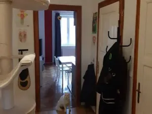 Prodej bytu 3+kk, Břeclav, Žižkova, 72 m2