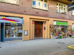 Pronájem bytu 1+kk, Praha - Karlín, Thámova, 24 m2