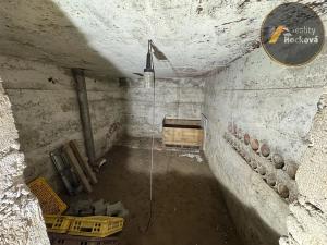 Prodej chaty, Vršovice, 22 m2