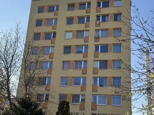 Prodej bytu 1+1, Český Brod, Palackého, 40 m2