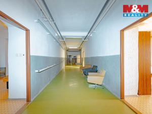 Prodej ubytování, Nové Město nad Metují, Rezek, 1700 m2