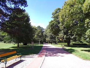 Pronájem bytu 1+kk, Brno, Lidická, 36 m2