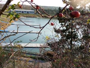 Prodej pozemku pro bydlení, Račice, 903 m2