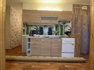 Pronájem bytu 2+1, Meziboří, J. A. Komenského, 44 m2