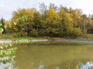 Prodej pozemku pro bydlení, Příluka, 805 m2