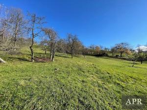 Prodej rodinného domu, Pašovice, 167 m2