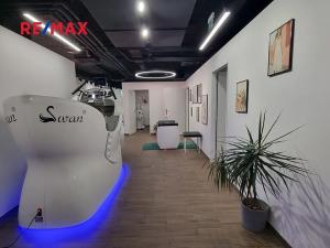 Pronájem obchodního prostoru, Praha - Karlín, Sokolovská, 165 m2