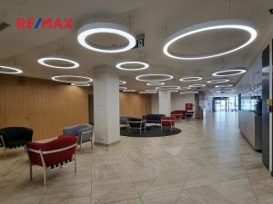 Pronájem obchodního prostoru, Praha - Karlín, Sokolovská, 165 m2