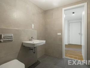 Prodej bytu 2+kk, Praha - Smíchov, Holečkova, 57 m2