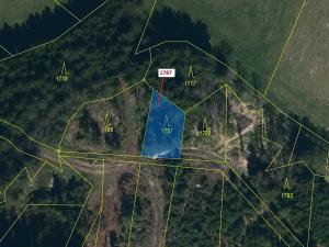 Dražba lesa, Žirovnice, 288 m2