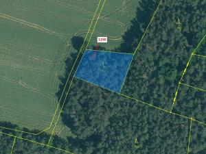 Dražba lesa, Hradiště, 1116 m2