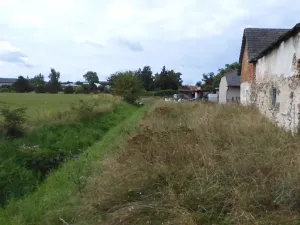 Dražba louky, Krouna, 6211 m2