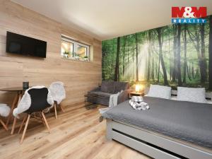 Prodej bytu 1+kk, Vrbno pod Pradědem, Žižkova, 31 m2