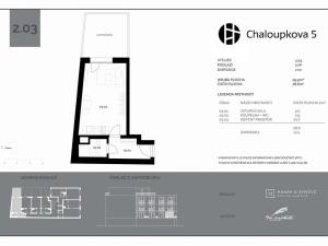Pronájem bytu 1+kk, Brno, Chaloupkova, 30 m2