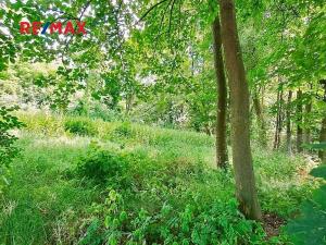 Prodej komerčního pozemku, Říčany, 4529 m2