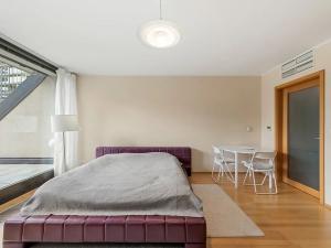 Pronájem bytu 1+kk, Praha - Žižkov, Ke kapslovně, 51 m2