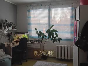 Pronájem bytu 1+1, Teplice, Vančurova, 35 m2