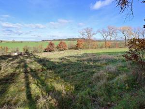 Prodej pozemku pro bydlení, Daleké Dušníky, 1217 m2