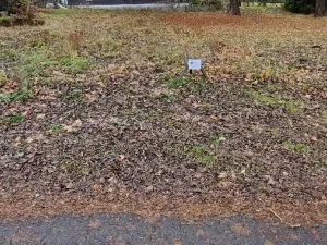 Prodej pozemku pro bydlení, Karlova Studánka, 900 m2