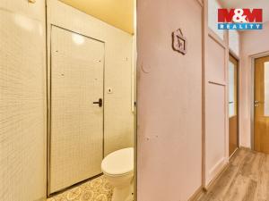 Prodej bytu 2+1, Hořice, Pod Lipou, 62 m2