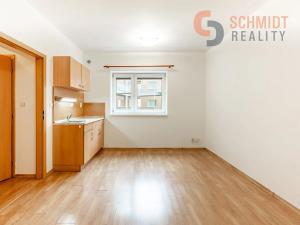 Pronájem bytu 1+kk, Břeclav, třída 1. máje, 20 m2