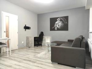 Pronájem bytu 1+kk, Brno, Rumiště, 35 m2