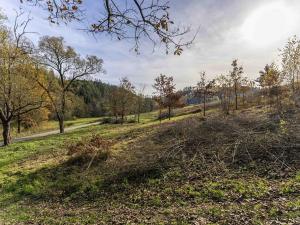 Prodej pozemku, Všechlapy, 774 m2