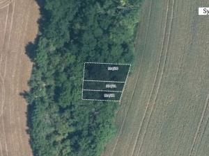 Prodej pole, Ořechov, 12328 m2