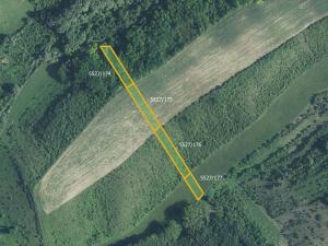 Prodej louky, Hustopeče, 10964 m2