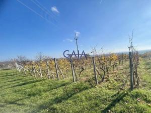 Prodej pozemku, Bukovany, 957 m2