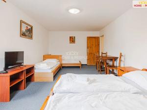 Prodej ubytování, Nové Hamry, 350 m2