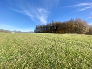 Prodej louky, Mníšek, 33698 m2