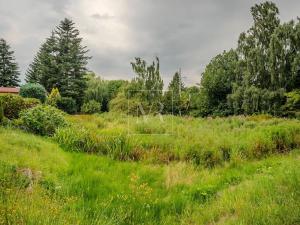 Prodej vícegeneračního domu, Sulice, Hlavní, 370 m2