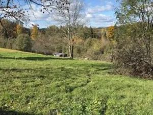 Prodej pole, Levínská Olešnice, 8891 m2